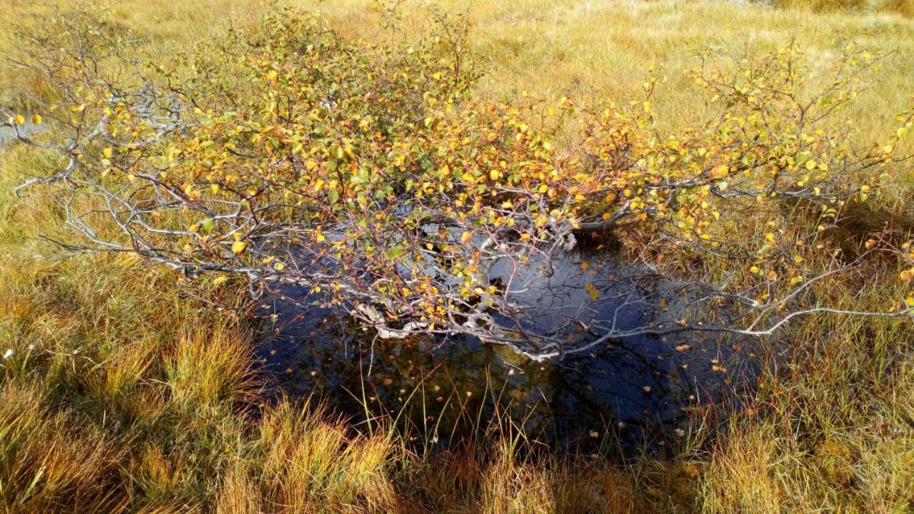 Sirdal Hoyfjellshotell Fidjeland Екстериор снимка